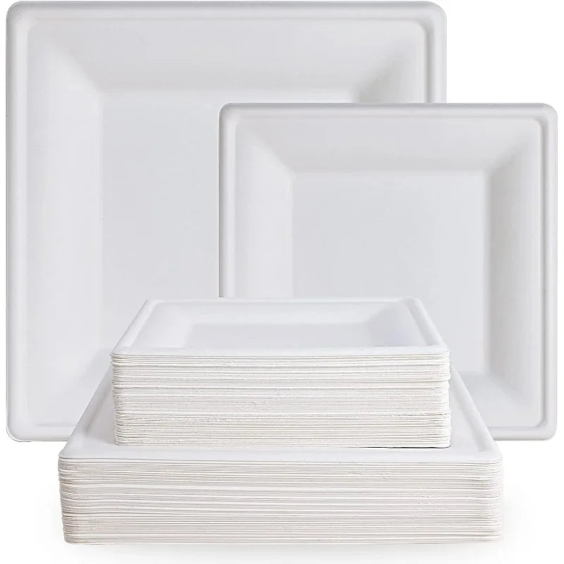 120 Pack Compostable Paper Plates