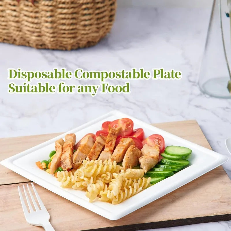 120 Pack Compostable Paper Plates
