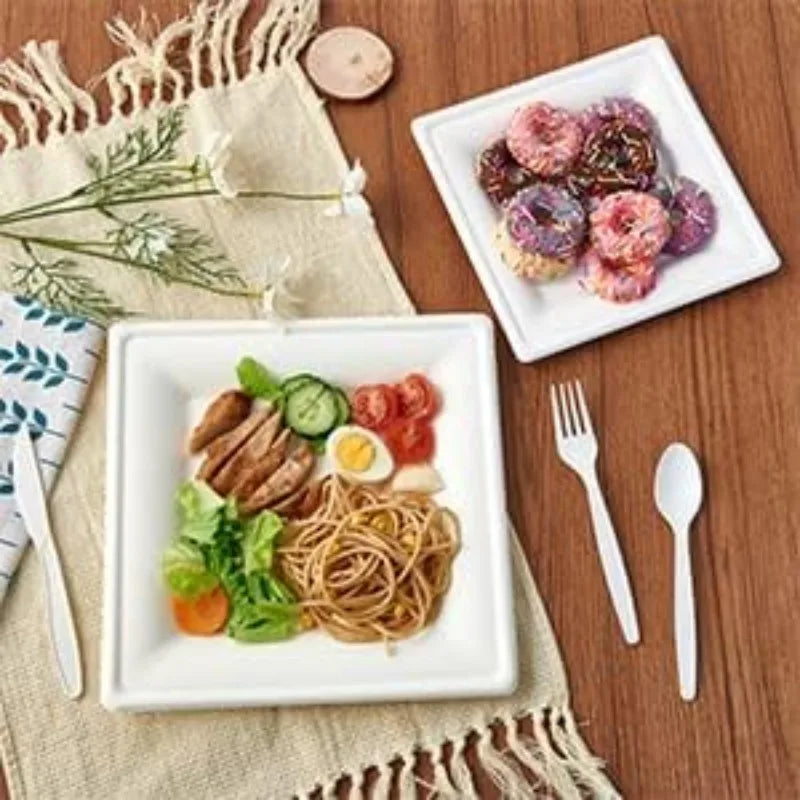 120 Pack Compostable Paper Plates