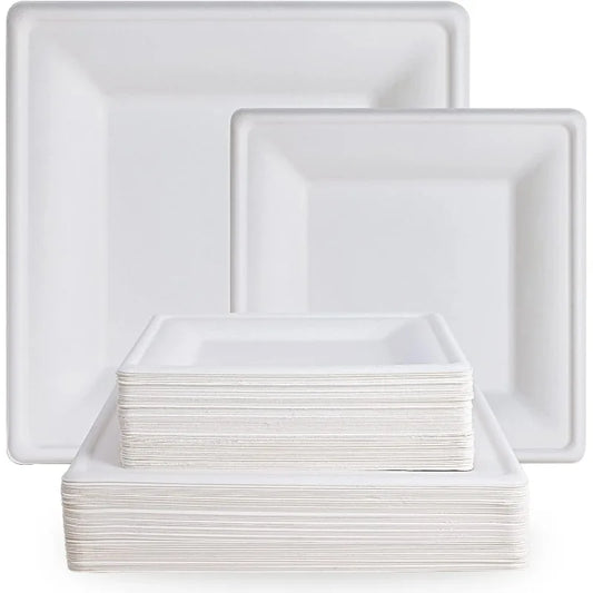 120 Pack Compostable Paper Plates