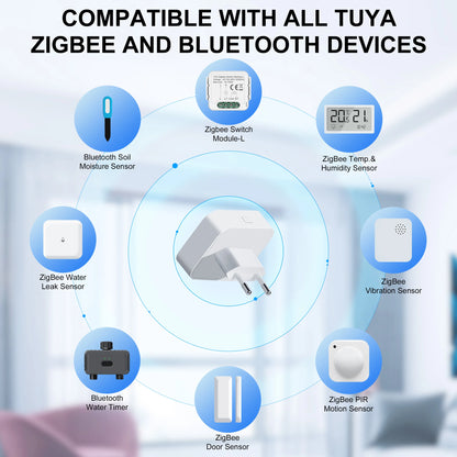 Multi-mode Gateway Bridge for Smart Home Plug