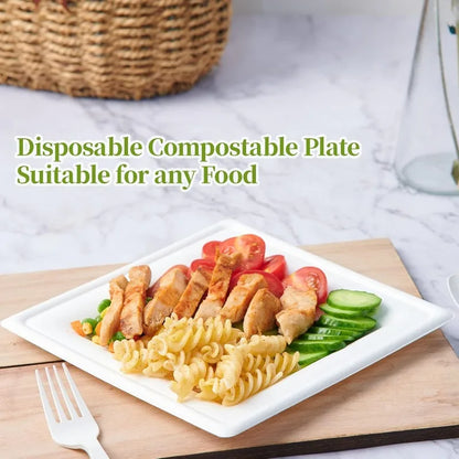 120 Pack Compostable Paper Plates